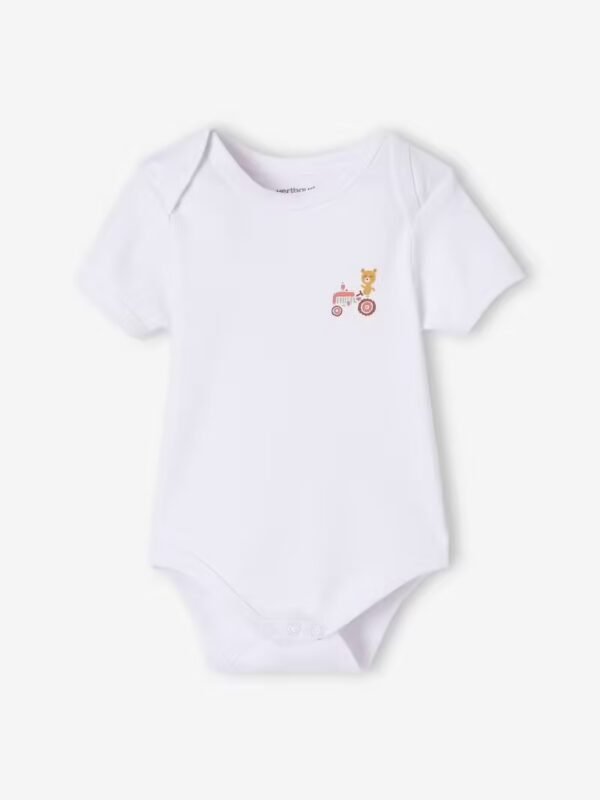 Lot de 5 bodies bébé garçon manches courtes